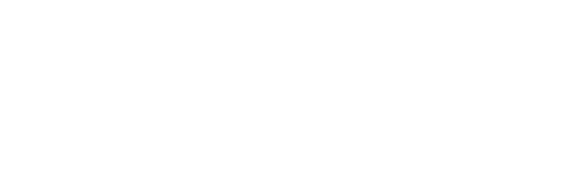 Logo Capital Market Run 2026